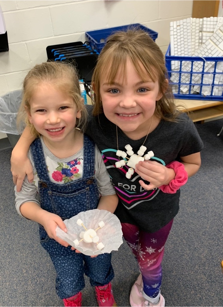 During library class this week, kindergarten and second grade students looked at fiction and non fiction books about snow and then made their own snowflakes out of marshmallows. 