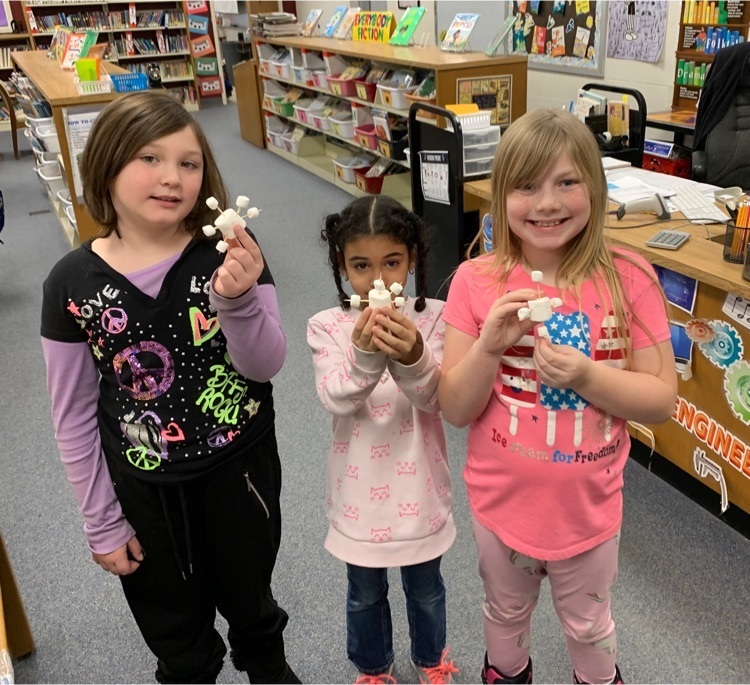 During library class this week, kindergarten and second grade students looked at fiction and non fiction books about snow and then made their own snowflakes out of marshmallows. 