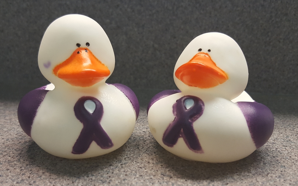 Ducks for chuck a duck cancer awareness night